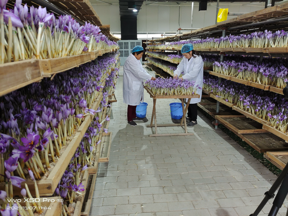 1381714540975_.pic_hd_copy.png 1381714540975_.pic_hd_copy.png