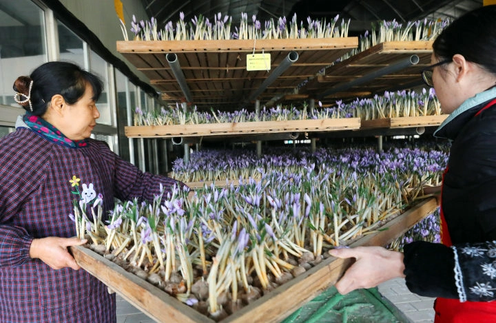 3e26fa58-9a38-45ab-8567-fab3d57e.webp 3e26fa58-9a38-45ab-8567-fab3d57e.webp