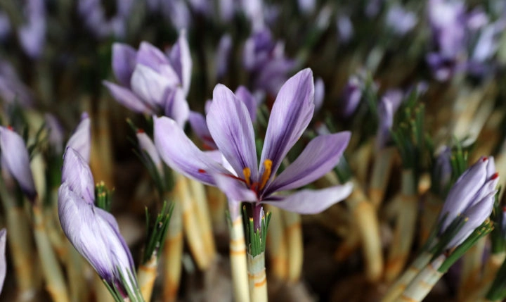 721dd04a-7da4-45d7-8e2a-e525c5bb.webp 721dd04a-7da4-45d7-8e2a-e525c5bb.webp