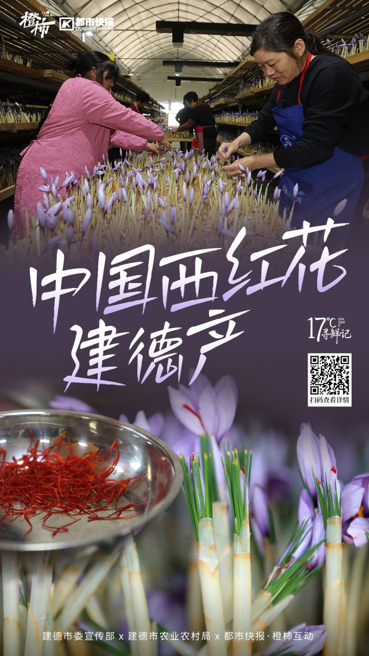 中国西红花，建德产