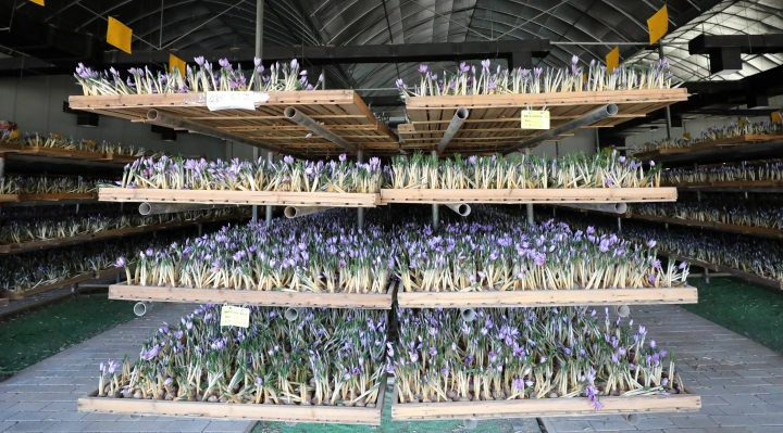 bae70ed7-28ea-465d-9992-8907491d.webp bae70ed7-28ea-465d-9992-8907491d.webp