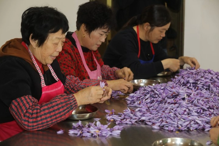 2ce9b8d8-7d13-40f1-8cbe-d3244aed.webp 2ce9b8d8-7d13-40f1-8cbe-d3244aed.webp