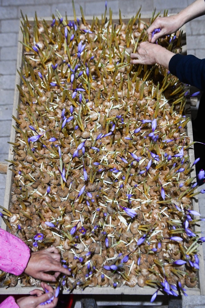 55115bf1-f430-4a41-8414-b39f7820.webp 55115bf1-f430-4a41-8414-b39f7820.webp