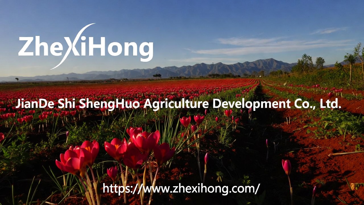 圣火公司祝您新春愉快！