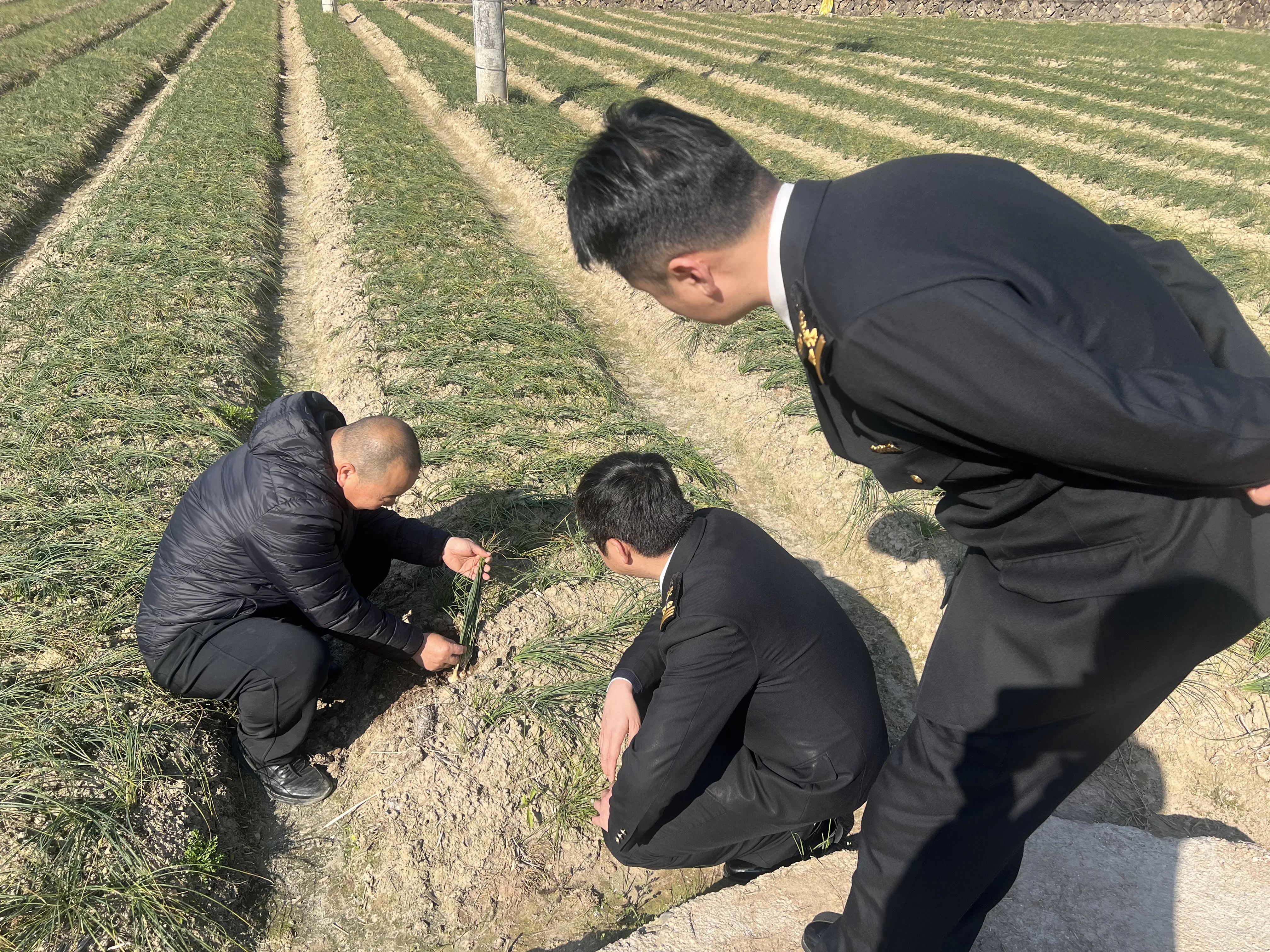 圣火农业迎来杭州海关出口检查